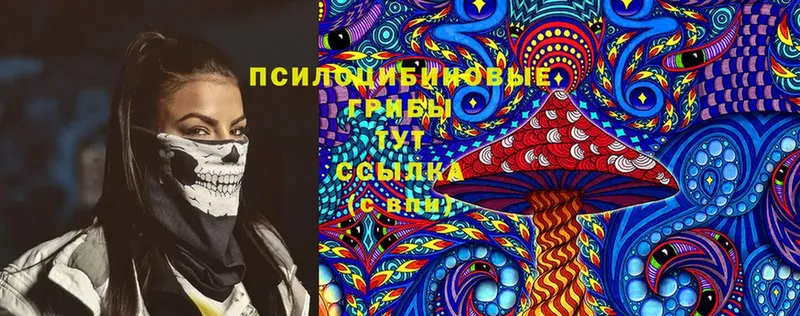 сколько стоит  Отрадный  Галлюциногенные грибы Cubensis 